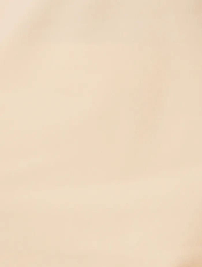 lani_boot_cut_flared_pant_4.webp Shona Joy Lani Boot Cut Flared Pant - Rice< Pants